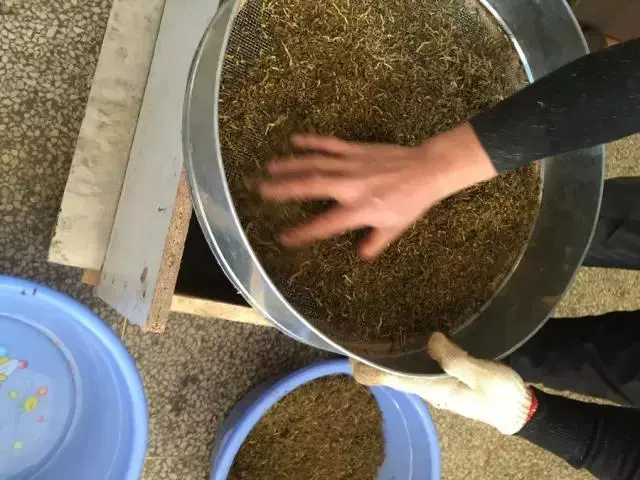 茶也能做木材？新型材料设计研究报告新鲜出炉